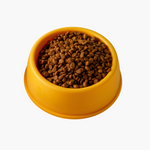 Enhanced Pet Bowl