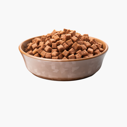 Bowl of pets food