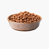 Bowl of pets food