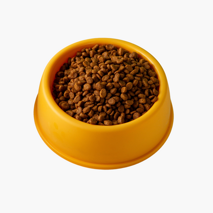 Dog food with chicken